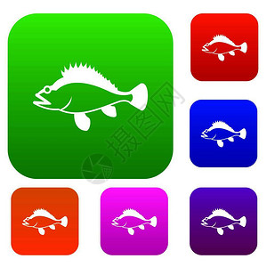 巴王海鱼类彩色图标插画