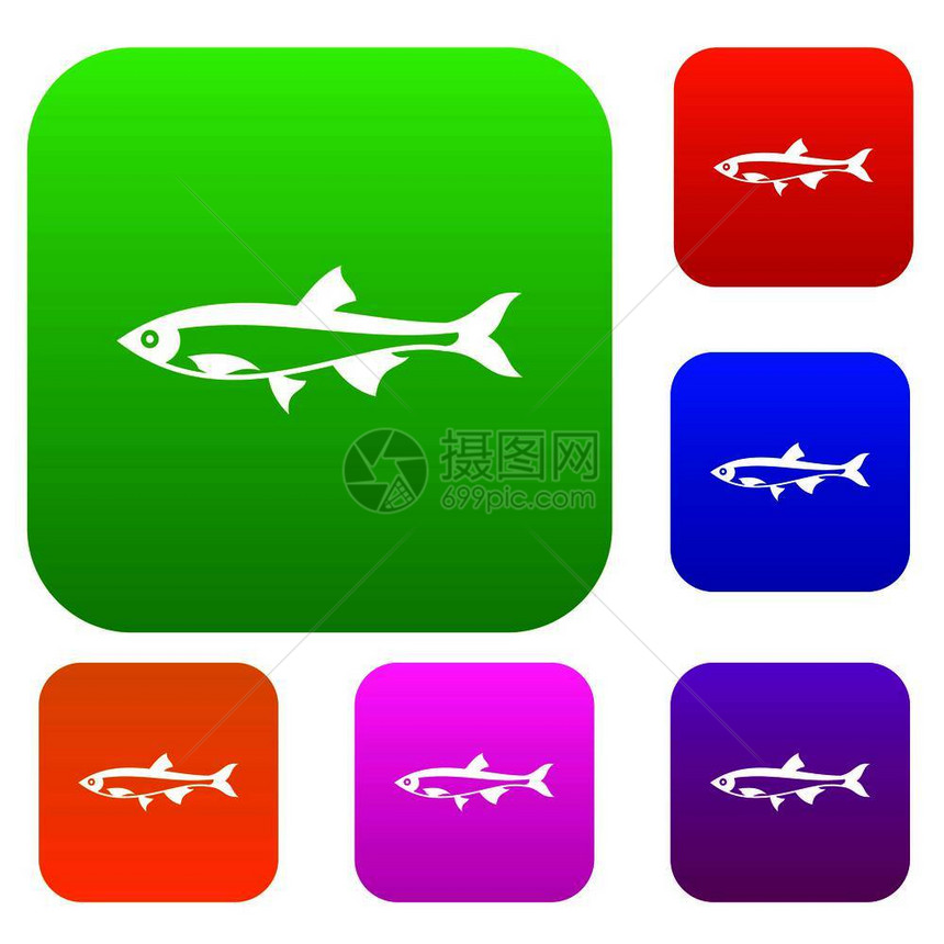 以不同颜色的孤立矢量说明形式绘制的鱼群示意图片