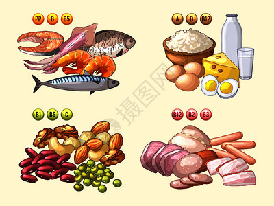 豆鼓鱼含有不同维生素鱼类和肉有用的维生素营养乳酪和牛奶成分的各类新鲜产品病媒说明含有不同维生素的各类新鲜产品插画