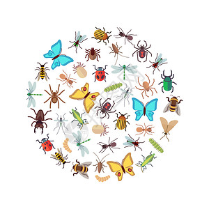 白色背景上孤立的平板昆虫图标圆形概念矢量说明平板昆虫图标圆形概念图片