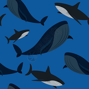 鲨鱼和鲸矢量元素图片