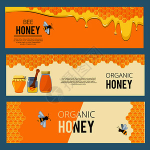 养蜂人蜂蜜甜点营养矢量图插画