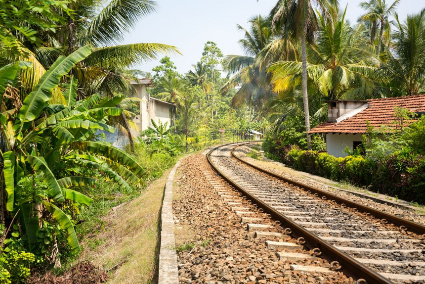 在斯里兰卡的铁路上横跨棕榈林古老村庄图片