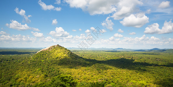 青绿峡谷和茶叶山锡兰西卡的风景图片