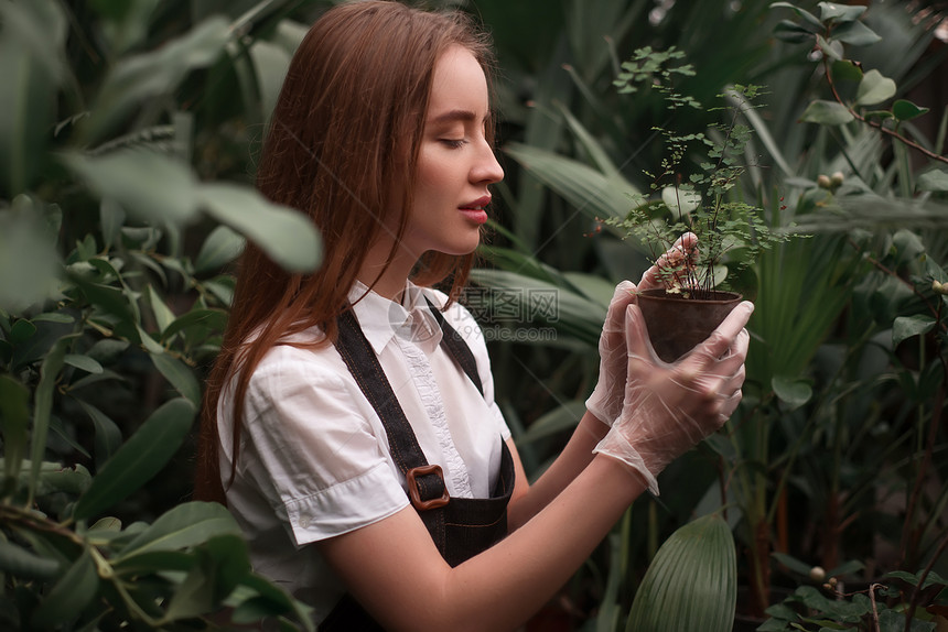 种植植物图片