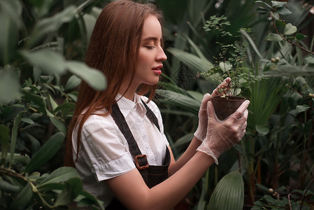 种植植物图片