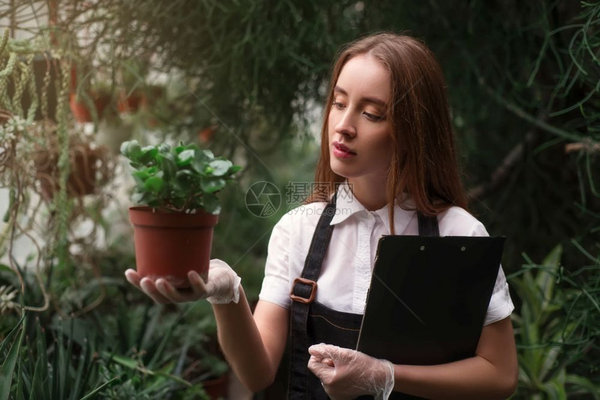 年轻女在温室植物园图片