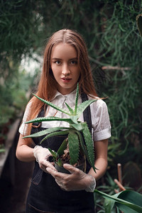 种植植物图片