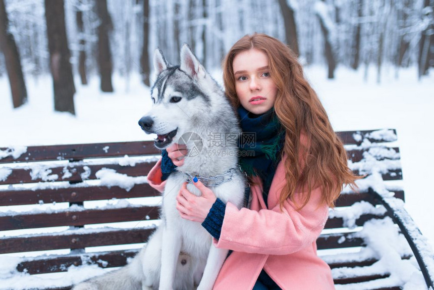 下雪的冬天年轻女子带着狗狗一起坐在公园的长凳上图片