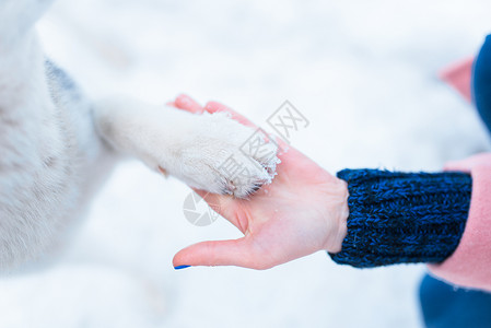女人的手握着狗爪图片