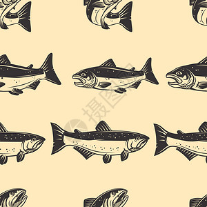 手绘鱼类鲑鱼鳟鱼背景图图片