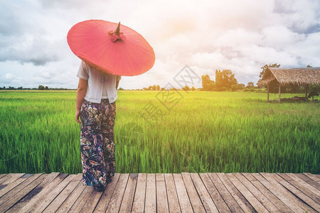 女旅行者在亚洲稻田中徒步旅行背景图片