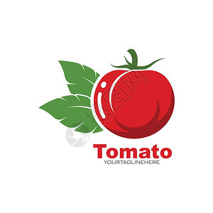 矢量新鲜番茄元素图片