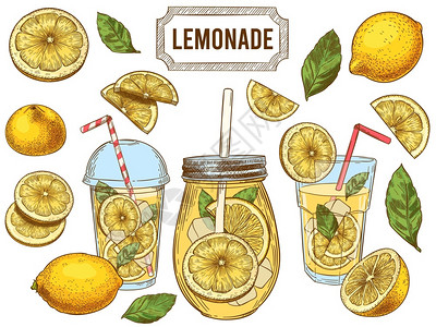 柠檬夏季冷饮手画图片