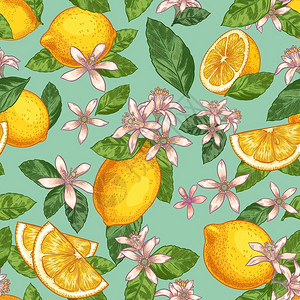 柠檬配有绿叶和柑橘花背景图片