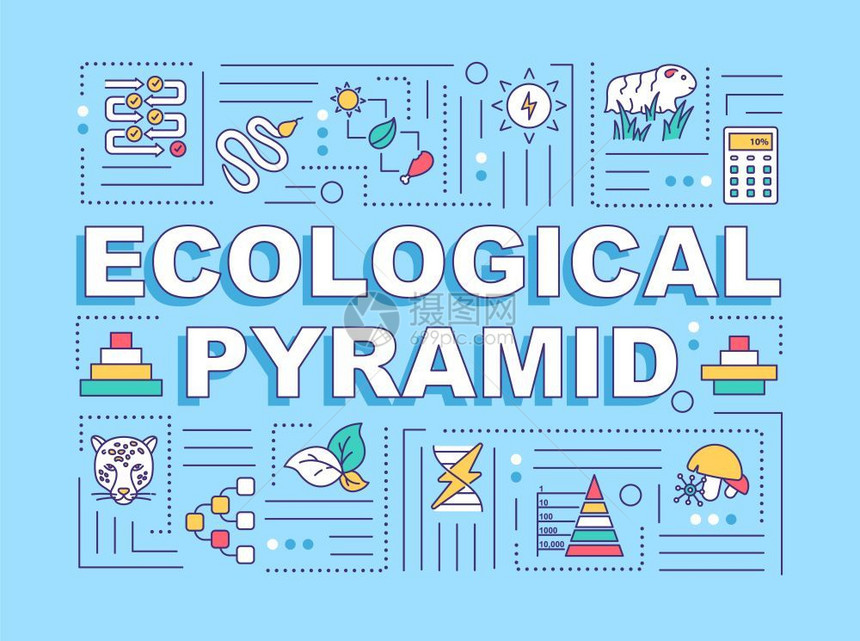 金字塔生态概念横幅生物多样产者和消费带有绿背景线图标的表孤立打字法矢量图示彩色图片