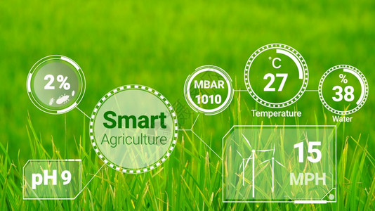 数字农业通过未来感应器数据收集管理通过人工智能控制作物生长和收获的质量计算机帮助种植概念背景