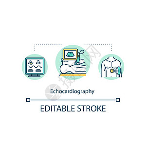 心电图概念标心脏筛查概念薄线插图心脏超声检查医学矢量孤立大纲rgb彩色绘图可编辑中风回声心电图概念标背景图片