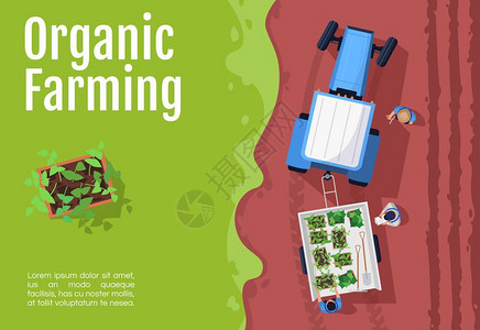 有机蔬菜海报有机农业标语模板插画
