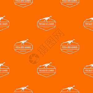 任何网络设计最佳的焦耳蜥蜴形态矢量橙图片