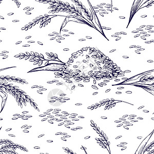 谷物矢量大米无缝模式手画植物和谷纹理类粮食品草图矢量说明黑白面条形有机食品背景粮谷类草图背景