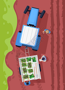 天然植萃种植有机作物天然蔬菜农村园民用于商业途的2d卡通人物收获植的半平板矢量图顶层视农民2d卡通人物用于商业途插画