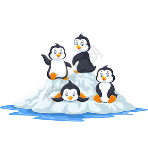 南方的雪企鹅在冰面上玩耍插画