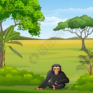 热带草原的卡通黑猩猩图片