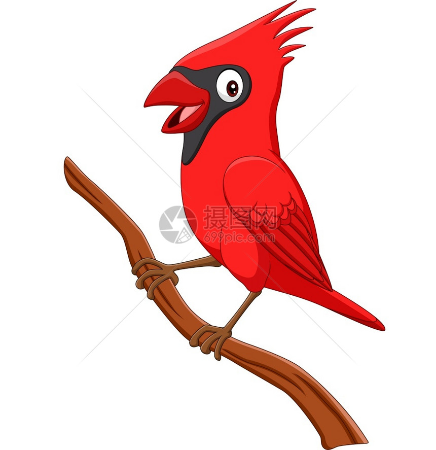 树枝上的卡通红鸟图片