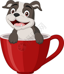 纯种小狗坐在红杯里的快乐卡通狗插画