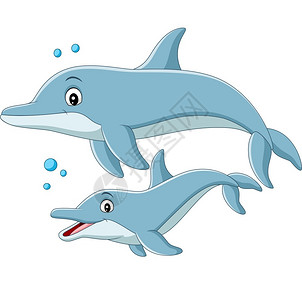 海豚妈妈卡通海豚一起游泳插画
