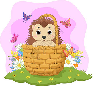 秋天动物小刺猬坐在篮子里的卡通婴儿刺猬插画