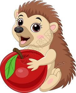 秋天动物小刺猬持有红苹果的卡通刺猬插画
