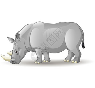 卡通非洲犀牛孤立在白色背景上图片