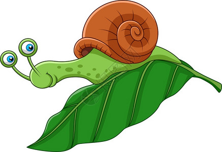 鼻涕虫叶子上的卡通笑蜗牛插画