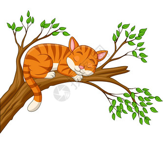 卡通猫睡在树枝上高清图片