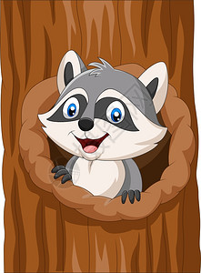 卡通浣熊坐在树的空洞中背景图片