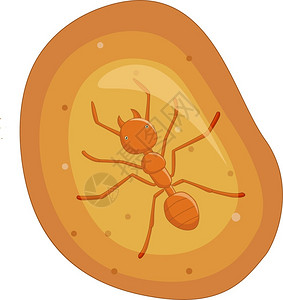 蚂蚁珠宝素材黄琥珀化石中的蚂蚁卡通矢量插图插画