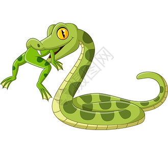 埋伏吃青蛙的绿蛇插画