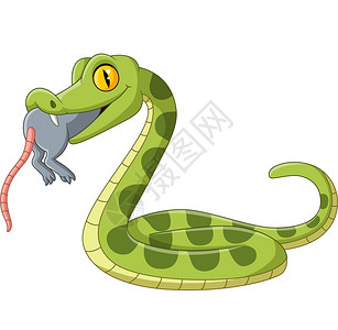 埋伏吃老鼠的绿蛇插画