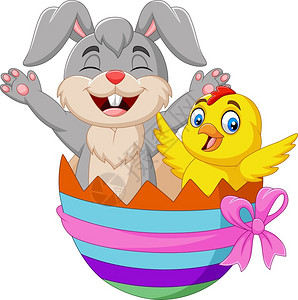 卡通兔子和小鸡宝宝在蛋里面图片
