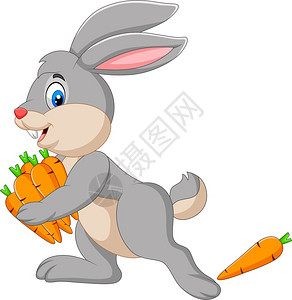 灰色兔子带胡萝卜的卡通兔子插画