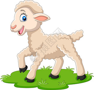 普通棉草草地上的卡通喜羊羔插画