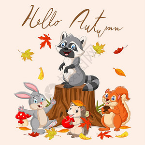 浣熊矢量秋天森林中的卡通野生动物插画