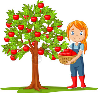 红色篮子收苹果的女农民插画