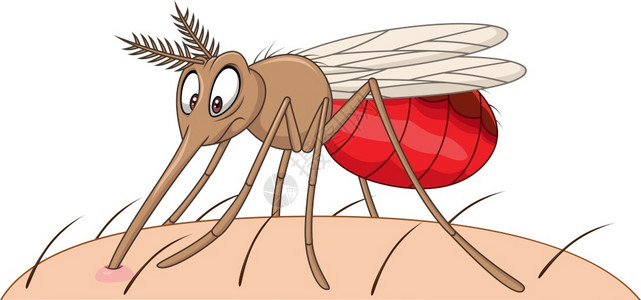 这种寄生虫吸血的卡通蚊子插画