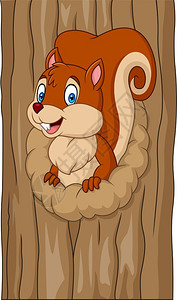 在树洞里的可爱卡通松鼠矢量插画背景图片