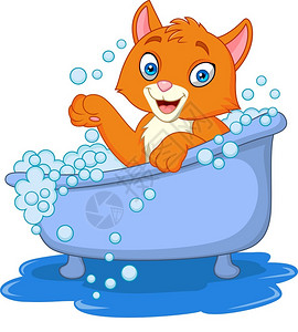 洗澡猫洗澡的卡通猫咪插画