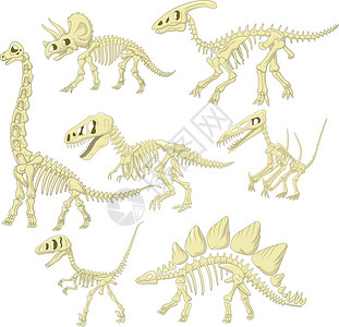 卡通恐龙骨架图片