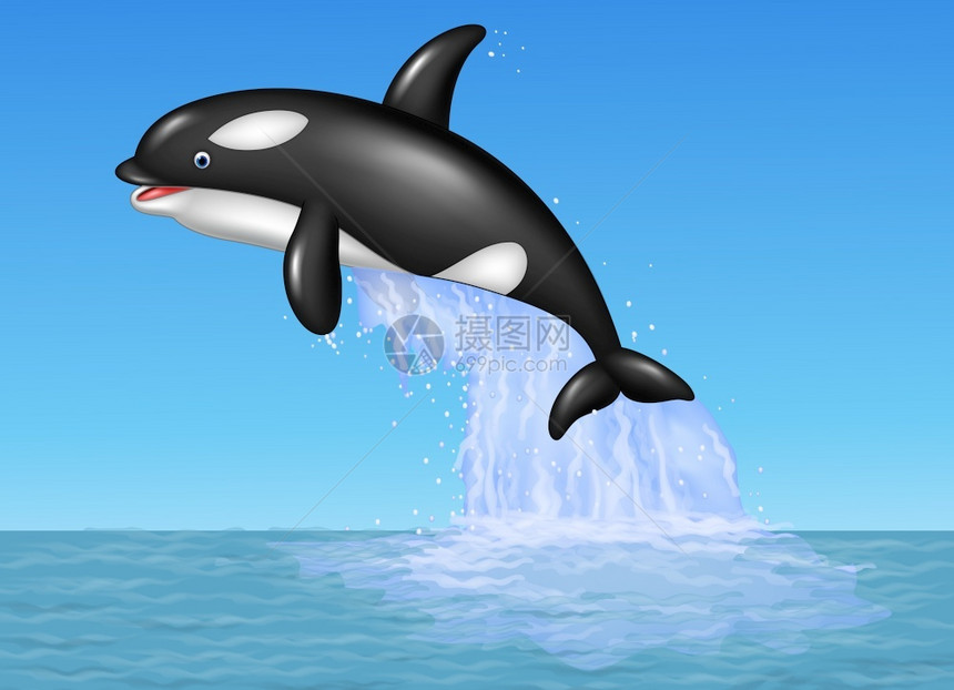 在蓝海背景上跳跃的卡通虎鲸图片